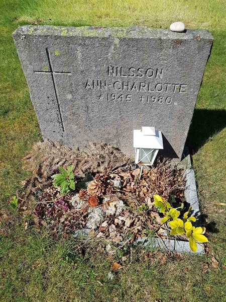 Grave number: 01  3677