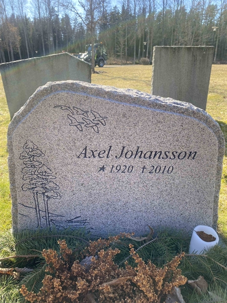 Hautatunnus: 1 32    169