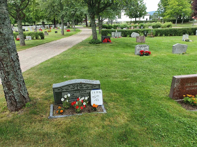 Grave number: 1 9    94-96