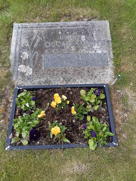 Grave number: KA 07    50