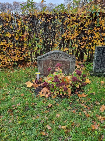 Grave number: 1 25   19