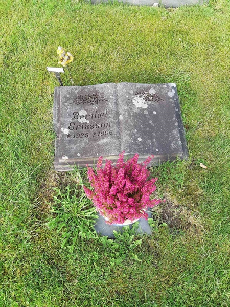 Hautatunnus: Fr 8   509-510