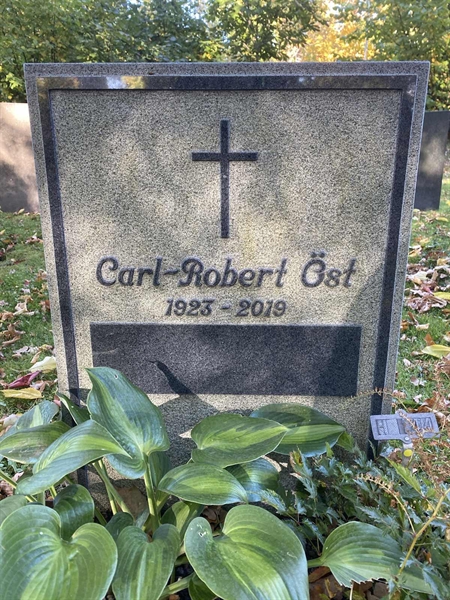 Gravnummer: 1 H   144