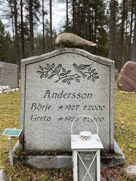 Grave number: 3 3   101