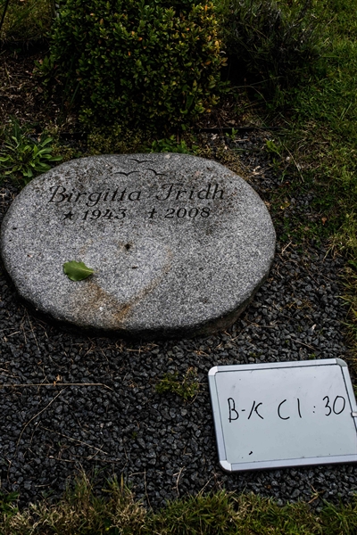 Hautatunnus: Bkl I C 30