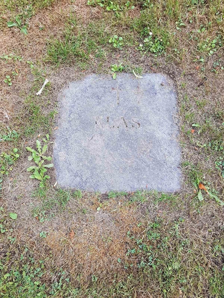 Grave number: 05 50085