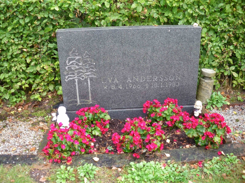 Grave number: SB 36    18, 19, 20