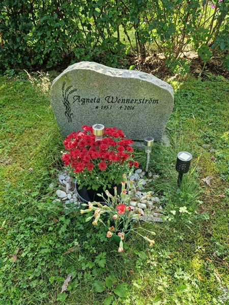 Grave number: 1 KV16   110