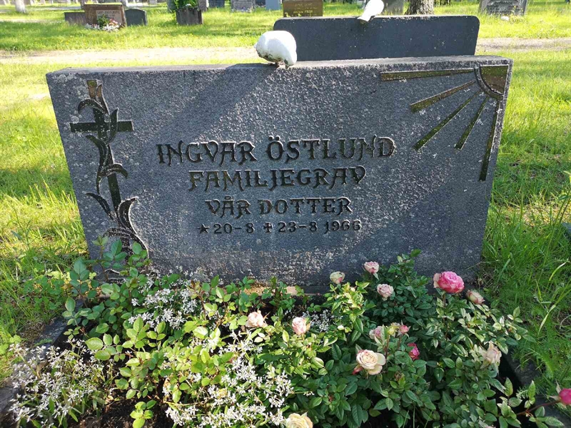 Hautatunnus: NK 02    75