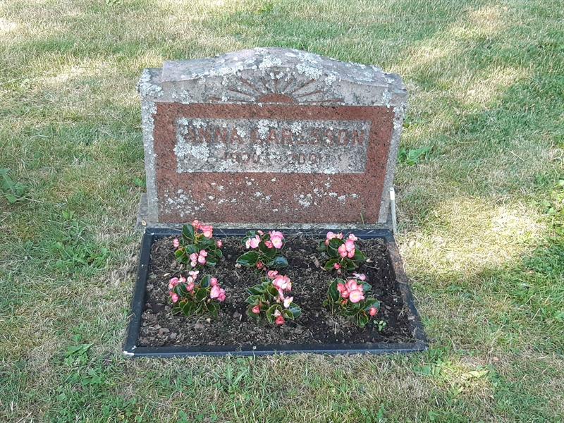 Grave number: VI 02   662