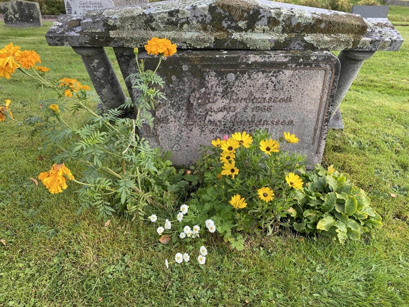 Grave number: 4 Me 06    15-16