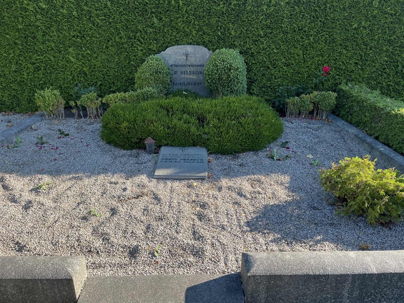 Grave number: NK IX    26