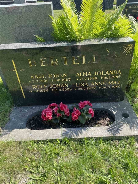 Hautatunnus: N 5 2   228