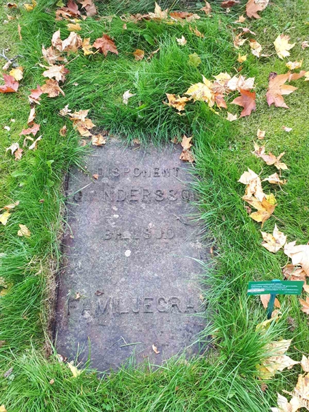 Gravnummer: GK F 1   208