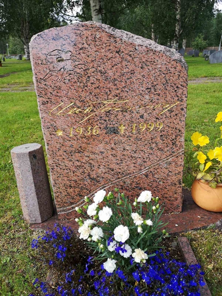 Hautatunnus: NK 17    36