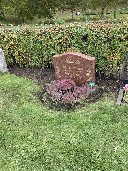 Hautatunnus: 1 3 F1   173