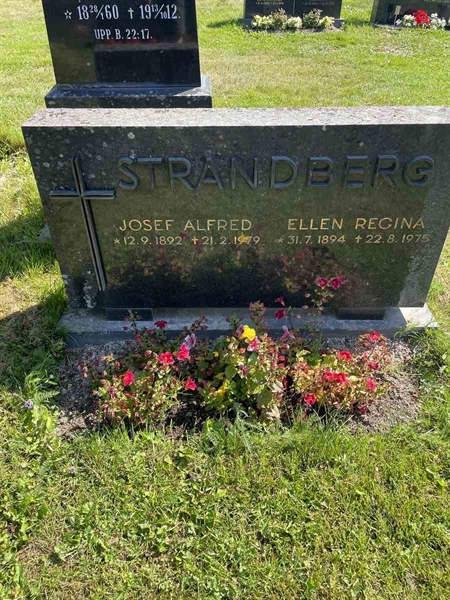 Hautatunnus: N 5 1    33b