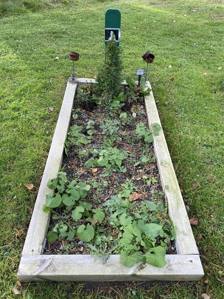 Hautatunnus: 2 G    79