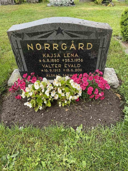 Gravnummer: N 4 3   355