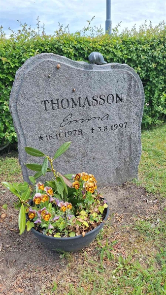 Grave number: VG D   241-243