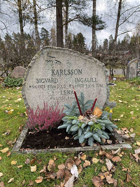 Hautatunnus: 1 29     49