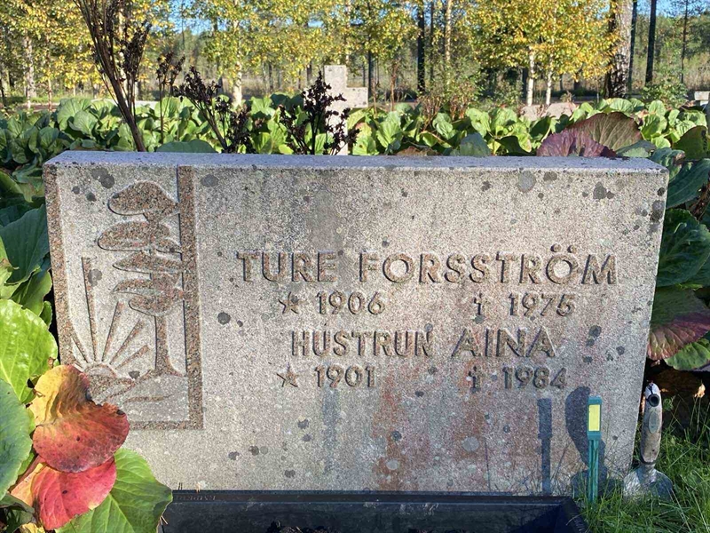 Grave number: 3 11 71