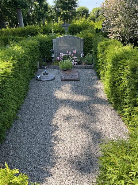 Grave number: NK VII    96