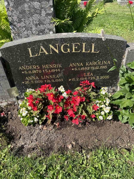 Hautatunnus: N 5 2   256