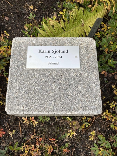 Gravnummer: 2 B    24