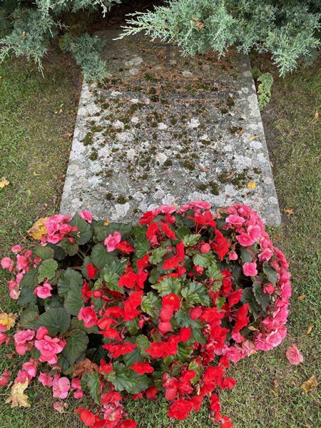 Hautatunnus: Kaga ga    58a