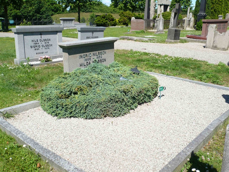 Grave number: 1 6    56