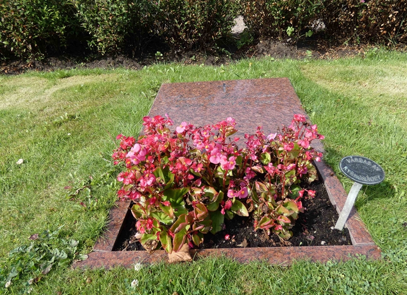 Grave number: TR C    12