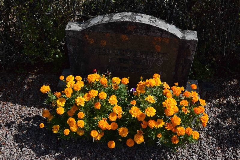 Grave number: 2 Å    14