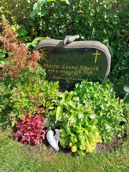 Hautatunnus: 1 D   100