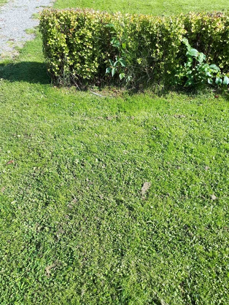 Grave number: NK F G   249