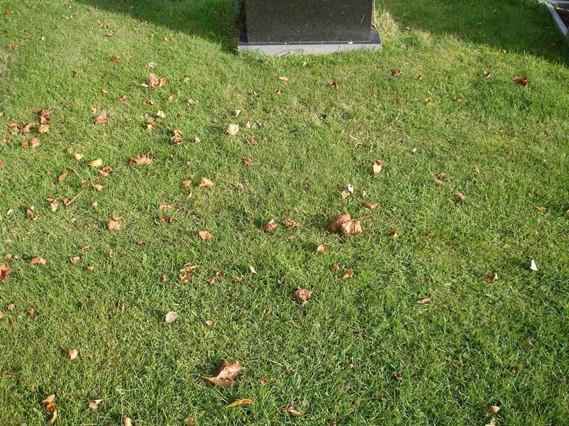 Grave number: FN V     3