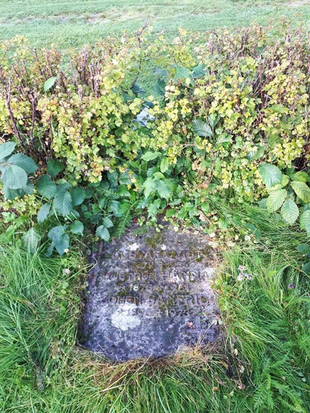 Gravnummer: NK F G   205