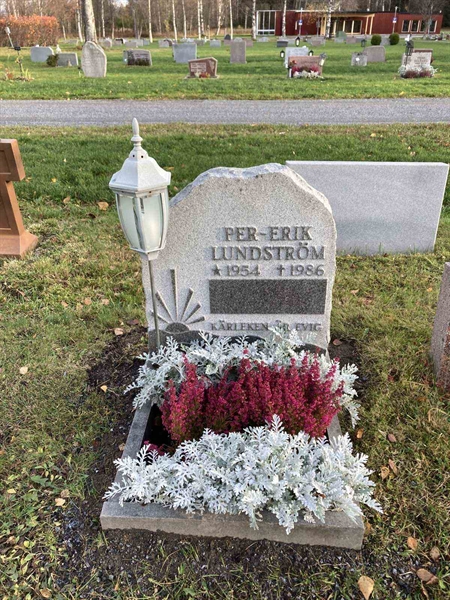 Grave number: 3  2119