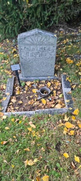 Grave number: M C  142