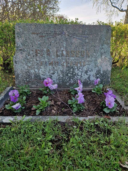 Grave number: 1 13 1841, 1842, 1843
