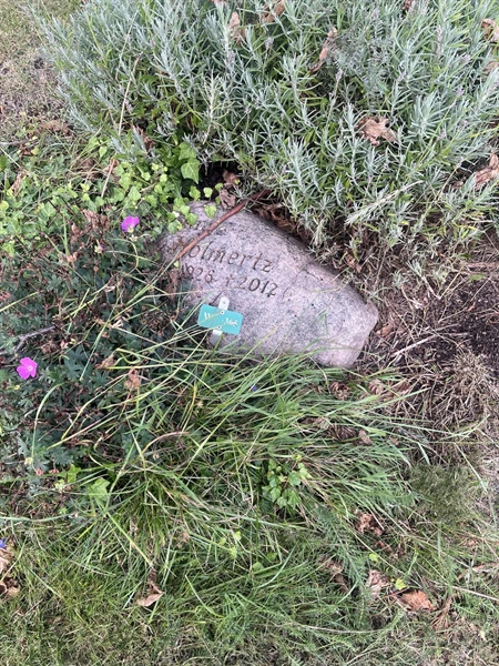 Grave number: 1 2 W   365