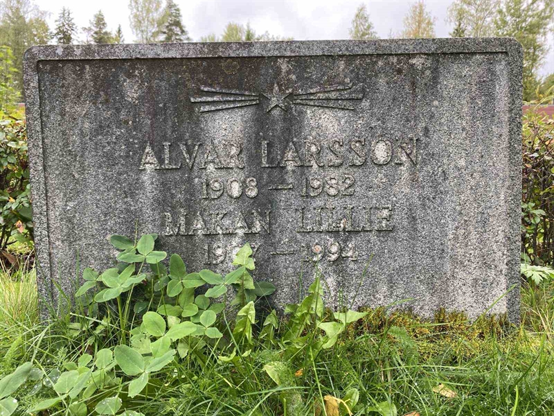 Hautatunnus: 1 21     87, 88