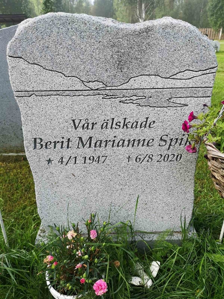 Hautatunnus: NK 22     5