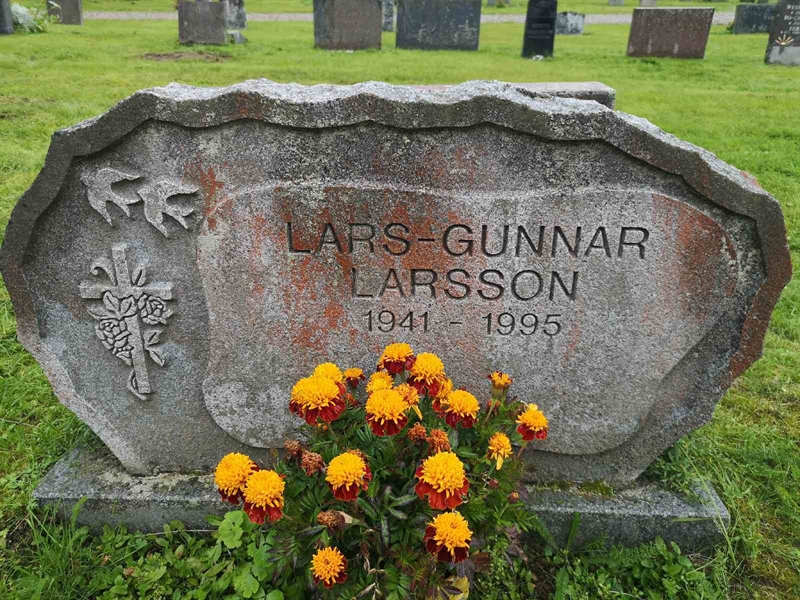 Hautatunnus: Mjk 13    19:1