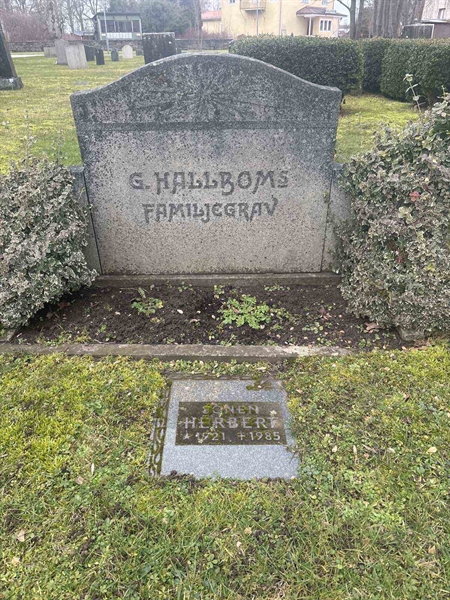 Hautatunnus: E B 95