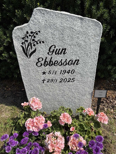 Grave number: TUR  1365
