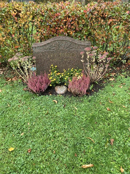 Grave number: 2 N 317