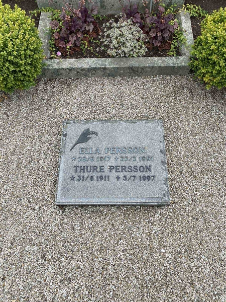 Grave number: VN N     1