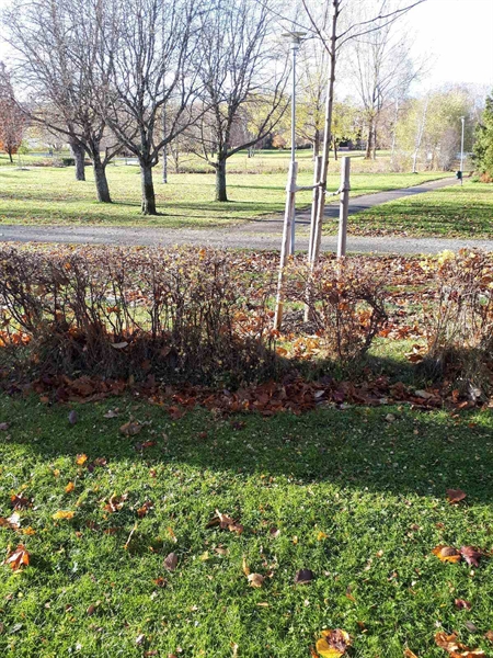 Gravnummer: GK F 2   135