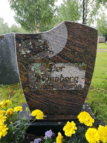 Hautatunnus: NK 17    77